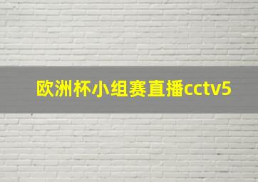 欧洲杯小组赛直播cctv5