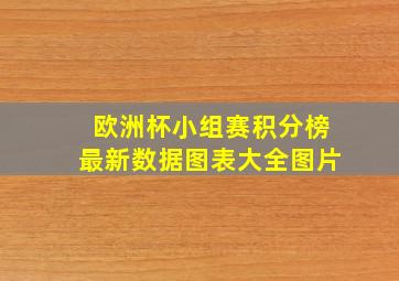 欧洲杯小组赛积分榜最新数据图表大全图片