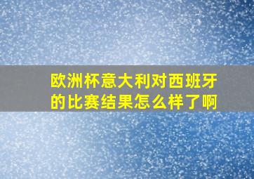 欧洲杯意大利对西班牙的比赛结果怎么样了啊