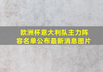 欧洲杯意大利队主力阵容名单公布最新消息图片