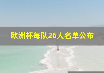 欧洲杯每队26人名单公布