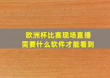 欧洲杯比赛现场直播需要什么软件才能看到