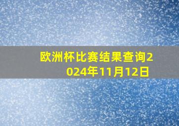 欧洲杯比赛结果查询2024年11月12日