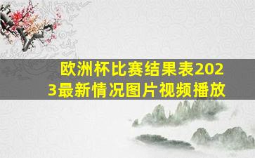 欧洲杯比赛结果表2023最新情况图片视频播放