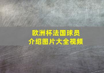 欧洲杯法国球员介绍图片大全视频