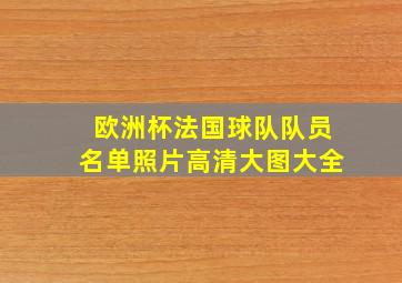 欧洲杯法国球队队员名单照片高清大图大全