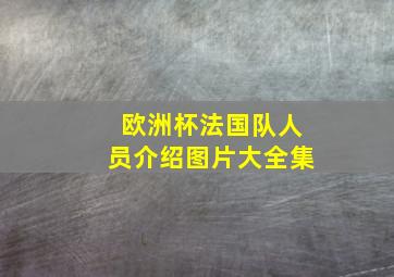 欧洲杯法国队人员介绍图片大全集