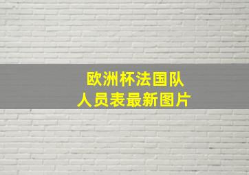 欧洲杯法国队人员表最新图片