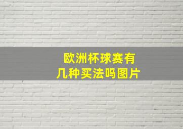 欧洲杯球赛有几种买法吗图片