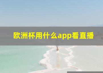 欧洲杯用什么app看直播