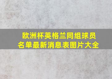 欧洲杯英格兰同组球员名单最新消息表图片大全