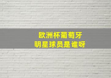 欧洲杯葡萄牙明星球员是谁呀