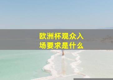 欧洲杯观众入场要求是什么