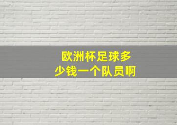 欧洲杯足球多少钱一个队员啊