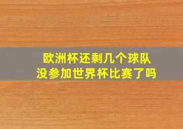 欧洲杯还剩几个球队没参加世界杯比赛了吗