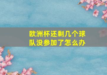 欧洲杯还剩几个球队没参加了怎么办