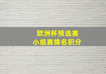 欧洲杯预选赛小组赛排名积分