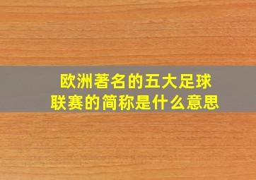 欧洲著名的五大足球联赛的简称是什么意思