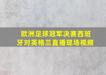 欧洲足球冠军决赛西班牙对英格兰直播现场视频