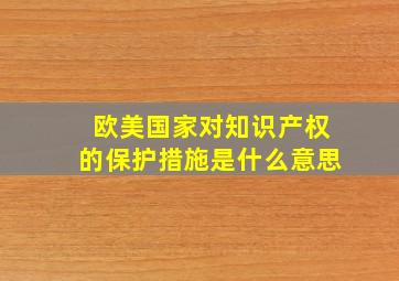 欧美国家对知识产权的保护措施是什么意思