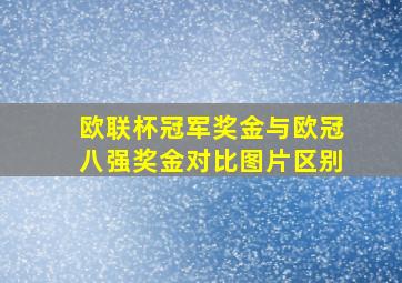 欧联杯冠军奖金与欧冠八强奖金对比图片区别