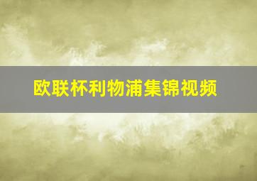 欧联杯利物浦集锦视频