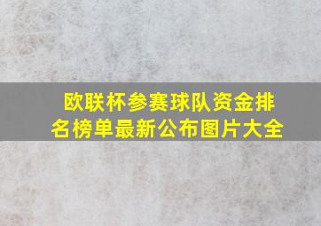 欧联杯参赛球队资金排名榜单最新公布图片大全