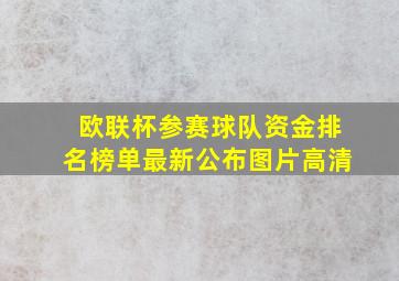 欧联杯参赛球队资金排名榜单最新公布图片高清