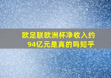 欧足联欧洲杯净收入约94亿元是真的吗知乎