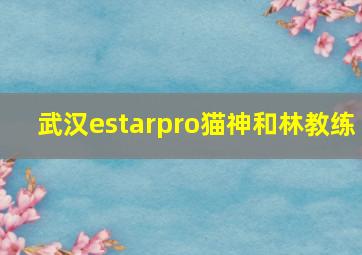 武汉estarpro猫神和林教练