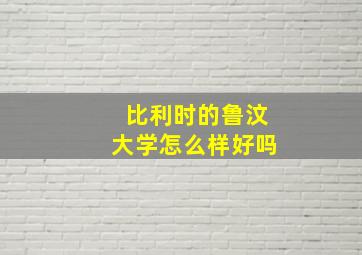 比利时的鲁汶大学怎么样好吗