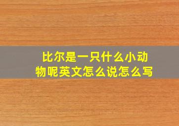 比尔是一只什么小动物呢英文怎么说怎么写