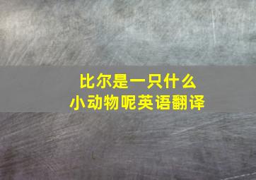 比尔是一只什么小动物呢英语翻译