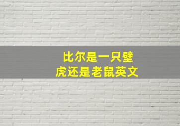 比尔是一只壁虎还是老鼠英文