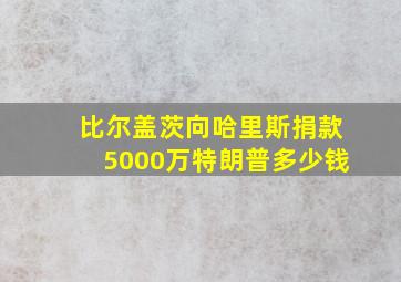 比尔盖茨向哈里斯捐款5000万特朗普多少钱