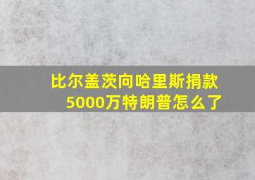 比尔盖茨向哈里斯捐款5000万特朗普怎么了