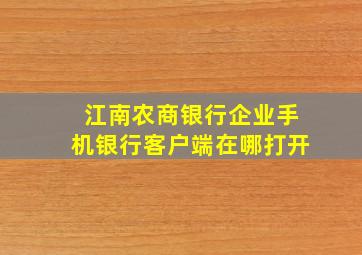 江南农商银行企业手机银行客户端在哪打开