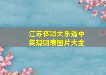 江苏体彩大乐透中奖规则表图片大全