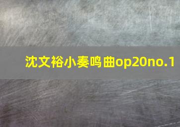 沈文裕小奏鸣曲op20no.1