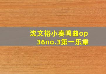 沈文裕小奏鸣曲op36no.3第一乐章