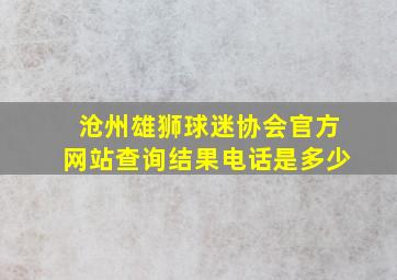 沧州雄狮球迷协会官方网站查询结果电话是多少