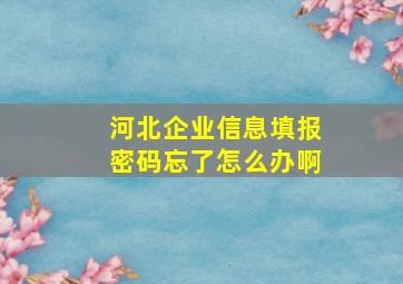 河北企业信息填报密码忘了怎么办啊