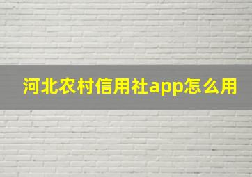 河北农村信用社app怎么用