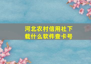 河北农村信用社下载什么软件查卡号