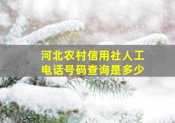 河北农村信用社人工电话号码查询是多少