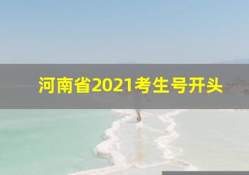 河南省2021考生号开头