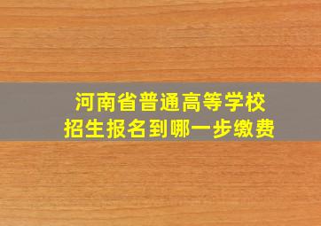 河南省普通高等学校招生报名到哪一步缴费