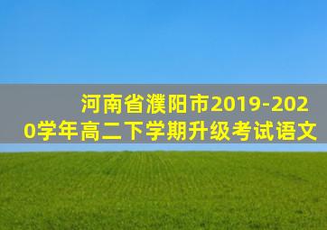 河南省濮阳市2019-2020学年高二下学期升级考试语文