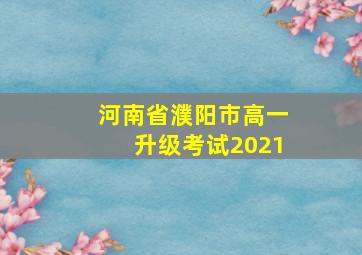 河南省濮阳市高一升级考试2021