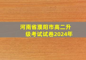 河南省濮阳市高二升级考试试卷2024年